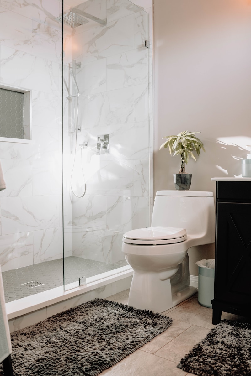 white ceramic toilet bowl beside white ceramic toilet bowl symbolizing hidden systems like septic tanks